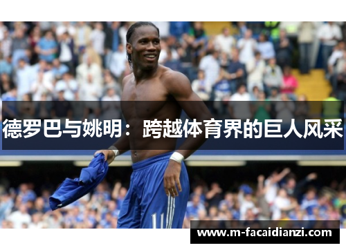 德罗巴与姚明：跨越体育界的巨人风采