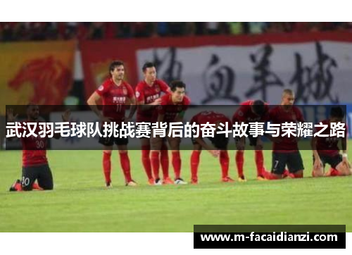 武汉羽毛球队挑战赛背后的奋斗故事与荣耀之路