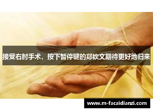 接受右肘手术，按下暂停键的郑钦文期待更好地归来